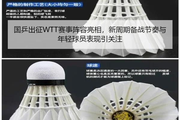 国乒出征WTT赛事阵容亮相，新周期备战节奏与年轻球员表现引关注